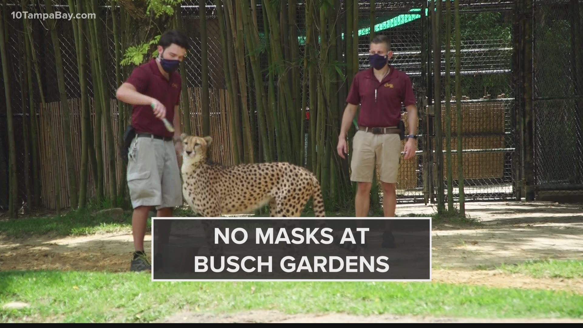 Park employees, however, still are asked to put on a face covering.