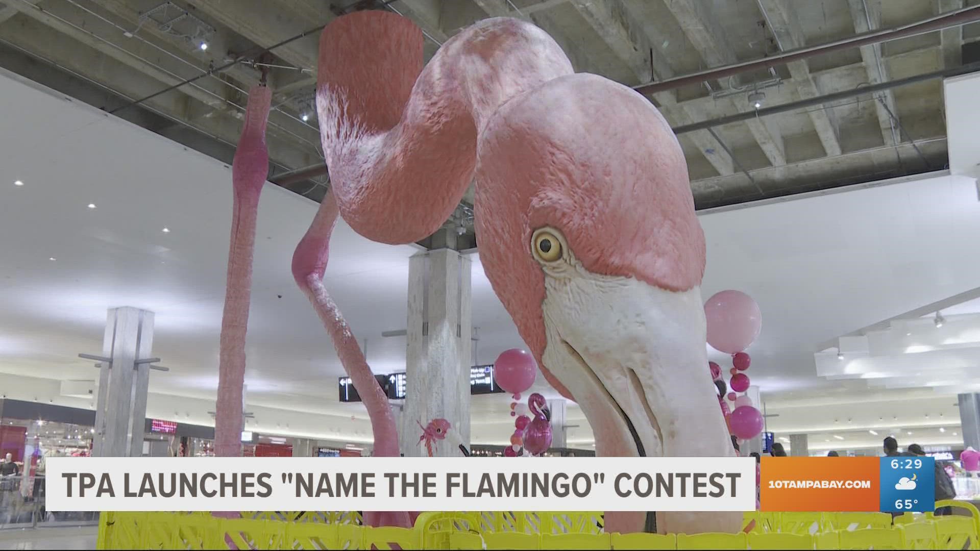 Are you good at naming things? The Tampa International Airport (TPA) needs your help coming up with a name for its giant pink flamingo sculpture.