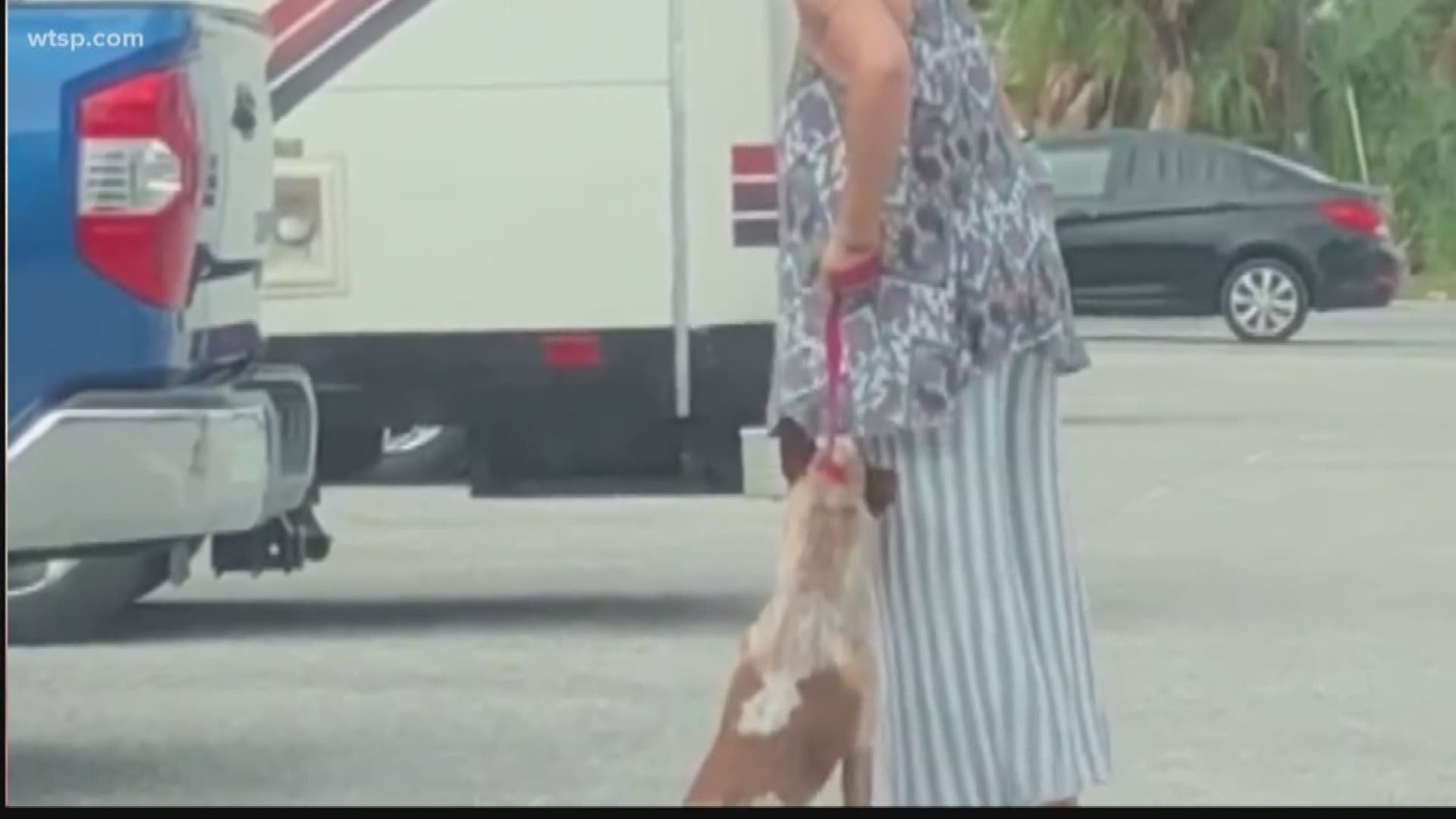 Woman jerks off dog