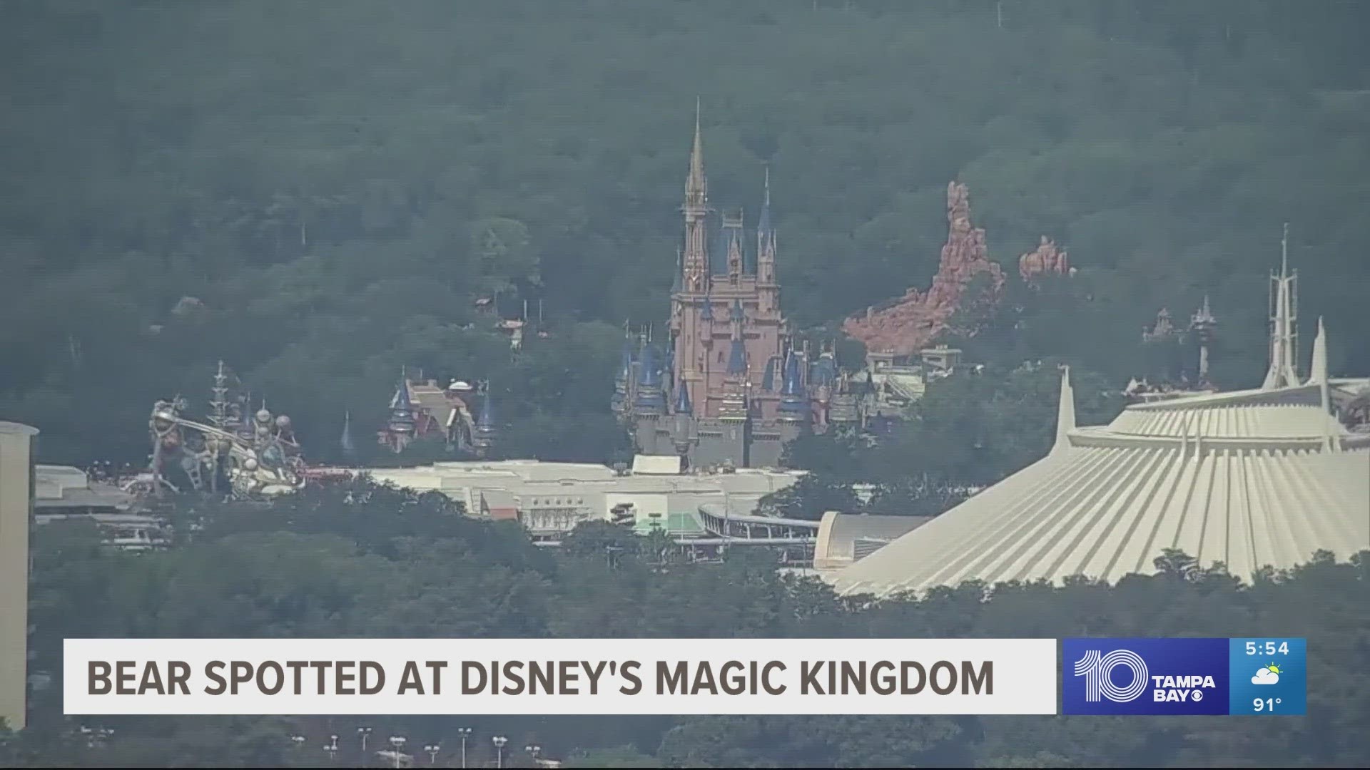 Bear at Disney's Magic Kingdom captured, Florida officials say