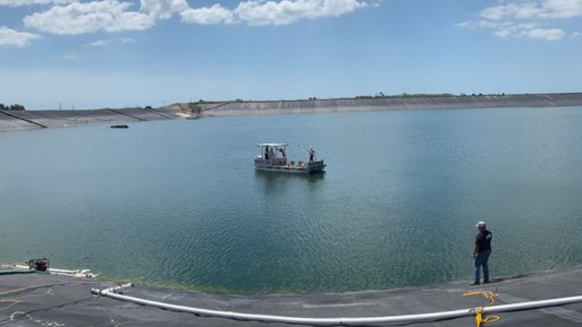 FWC asked to wrangle alligator from Piney Point site - Vimarsana News