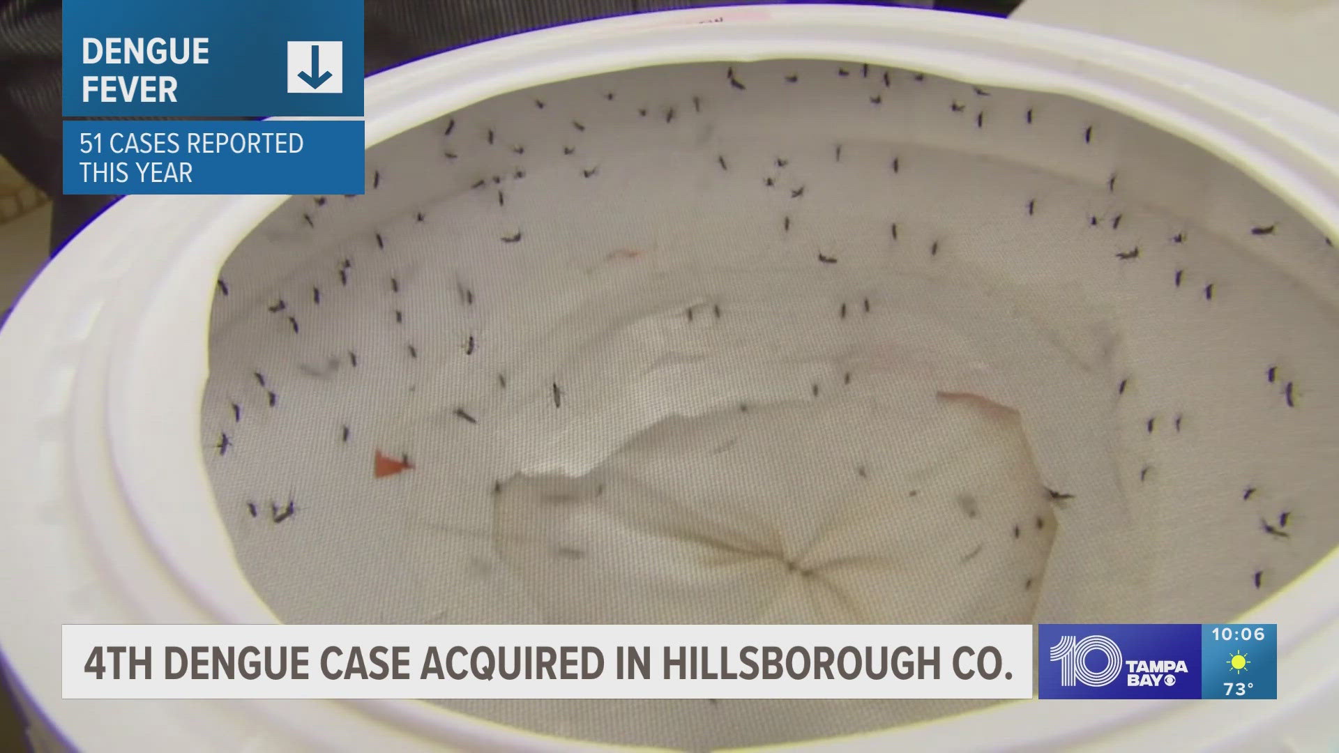 Another dengue fever case reported in Hillsborough County