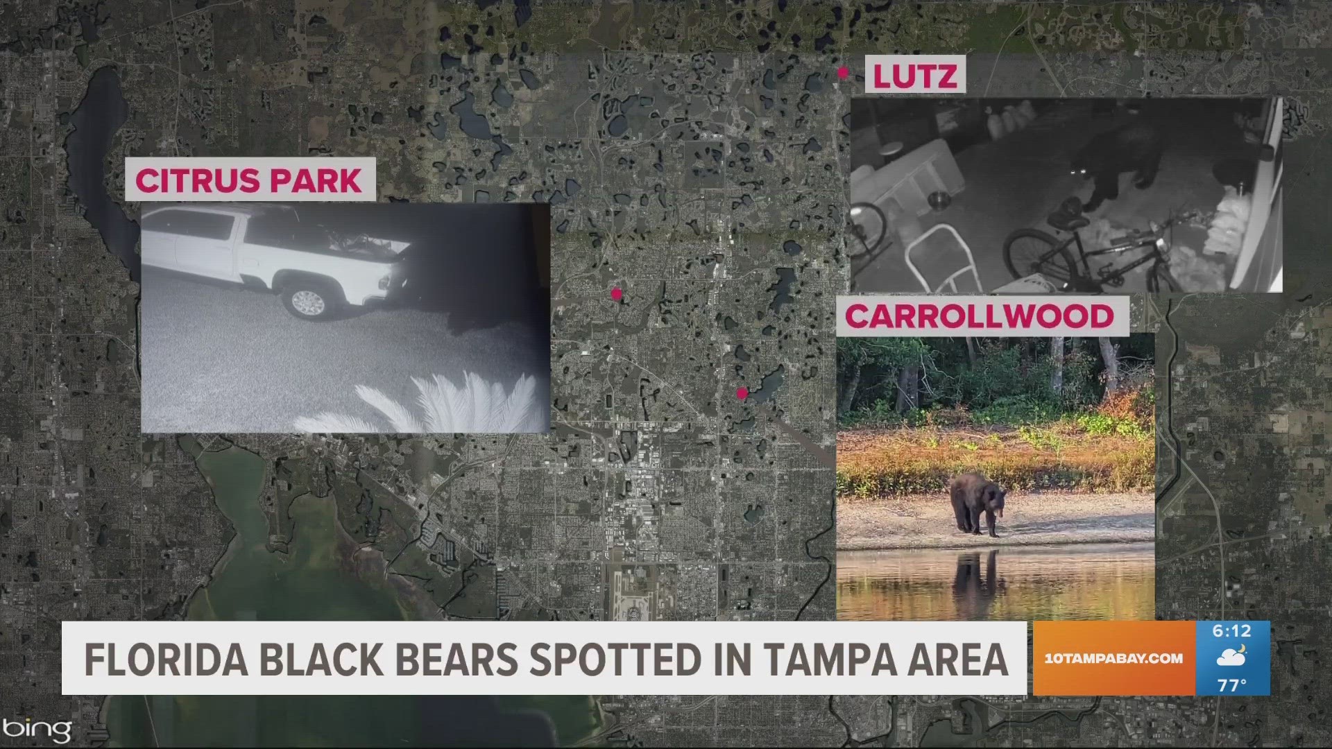 Florida Fish and Wildlife Conservation Commission says bears are active this time of year.