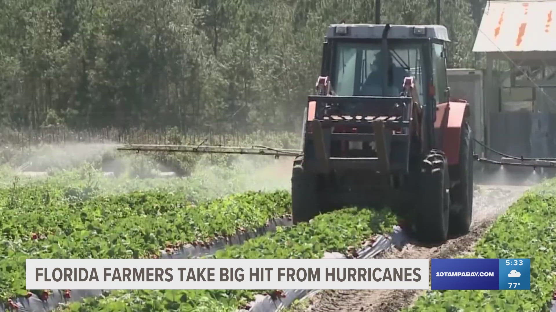 Several storms in the past few months have dealt a major blow to the agriculture industry in Florida.