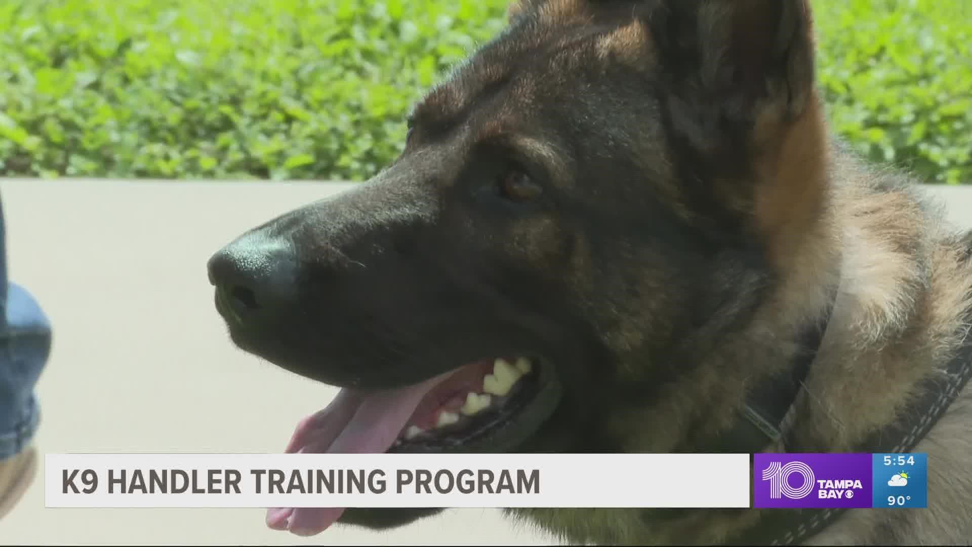 K-9s play an important role in law enforcement as do the people behind the scenes who handle and train them.