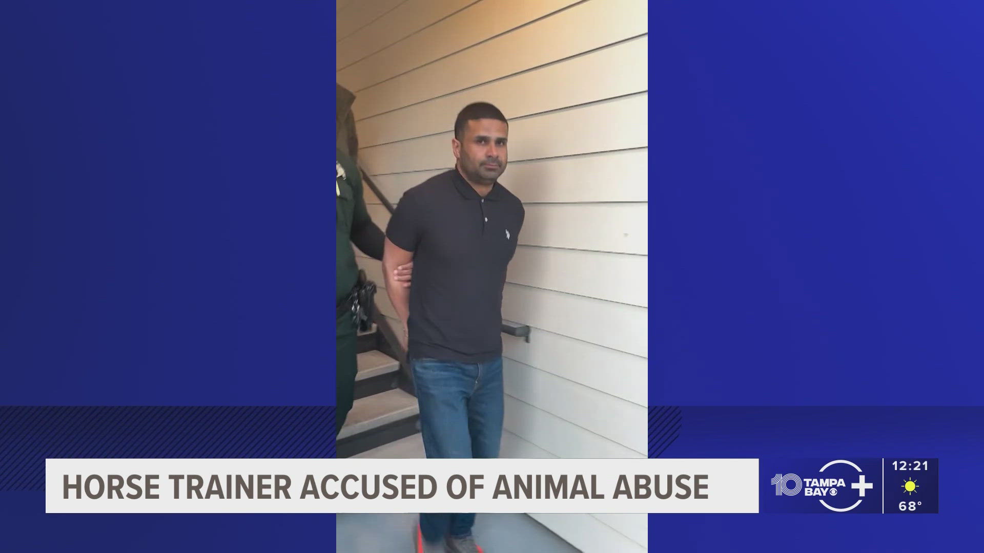 Florida horse trainer arrested for animal cruelty caught on video ...