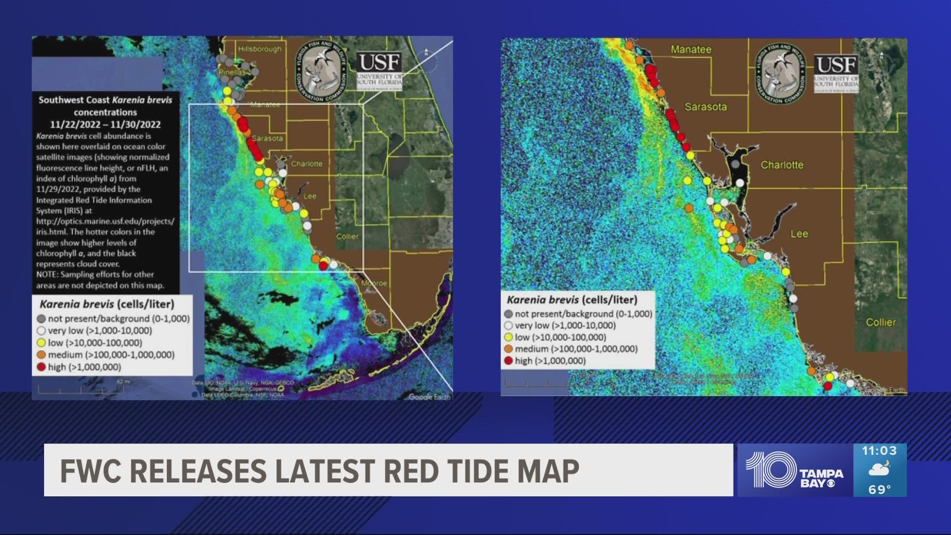 Red tide was also detected in Manatee and Sarasota counties.