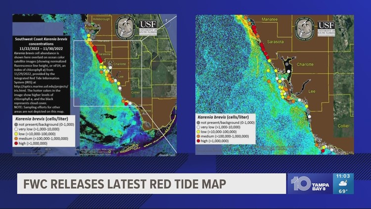 FWC: Low concentrations of red tide found in Pinellas County