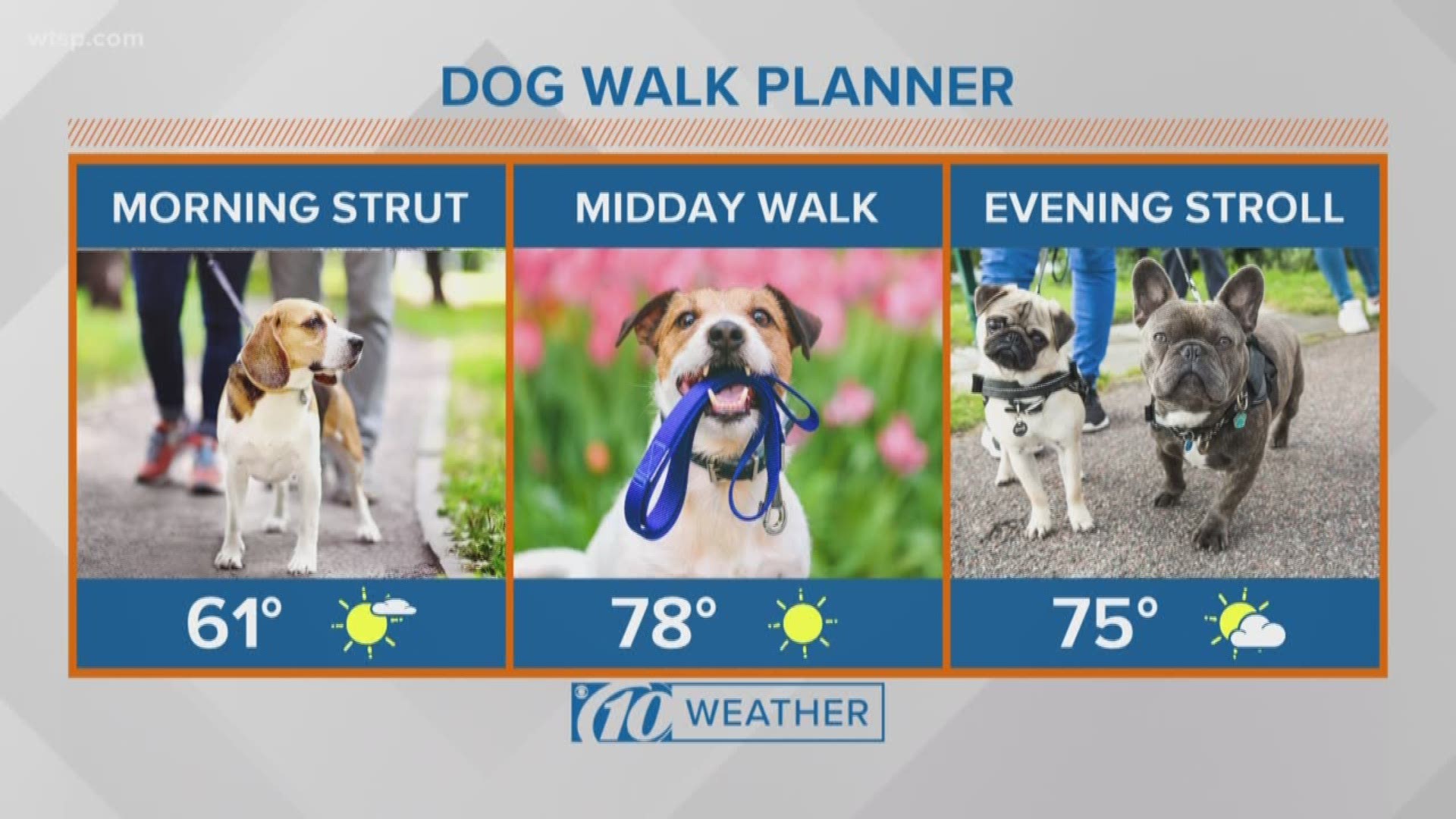 A look at Friday's forecast and how conditions will be to walk your four-legged friend.