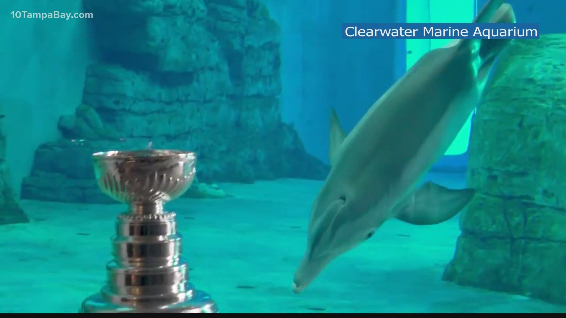 The Stanley Cup is making its rounds to Tampa Bay area attractions to celebrate the Lightning's championship win.