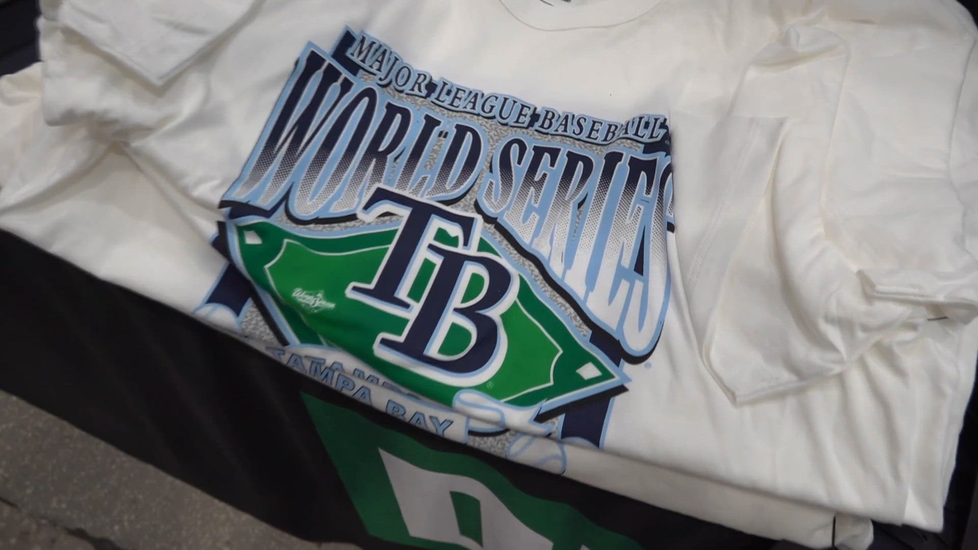 Tampa Bay Rays facts | wtsp.com