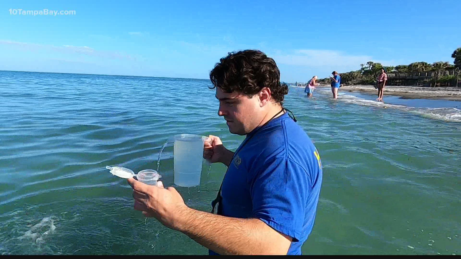 Scientists collect, analyze data and the information about beach conditions and red tide levels is uploaded to visitbeaches.org and its mobile app.