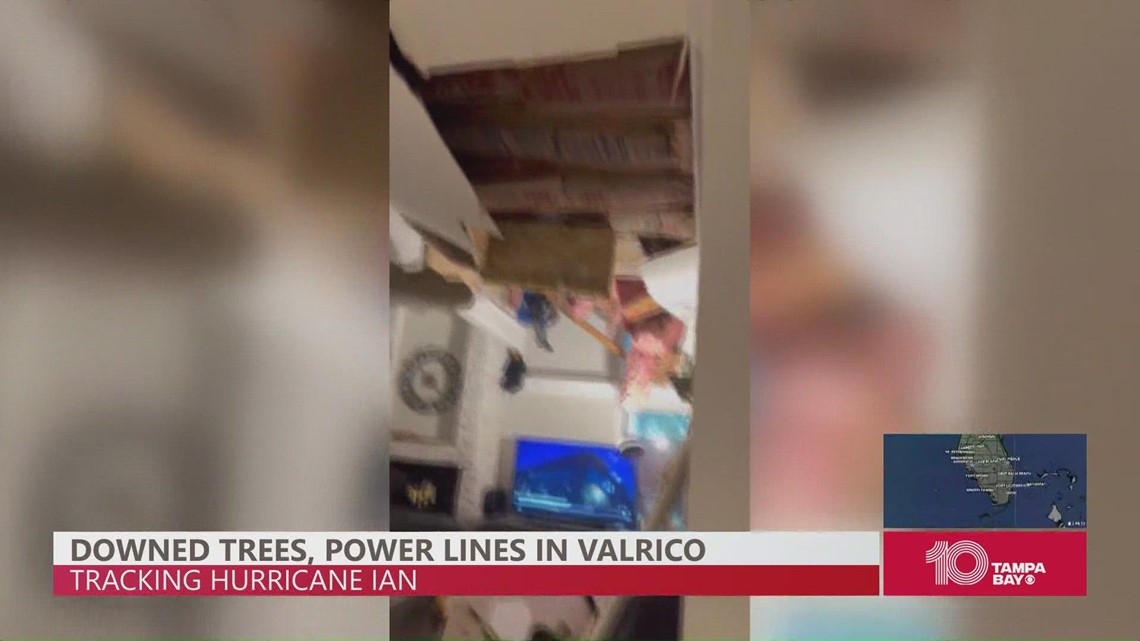 House destroyed Oak tree falls on Valrico home from Hurricane Ian
