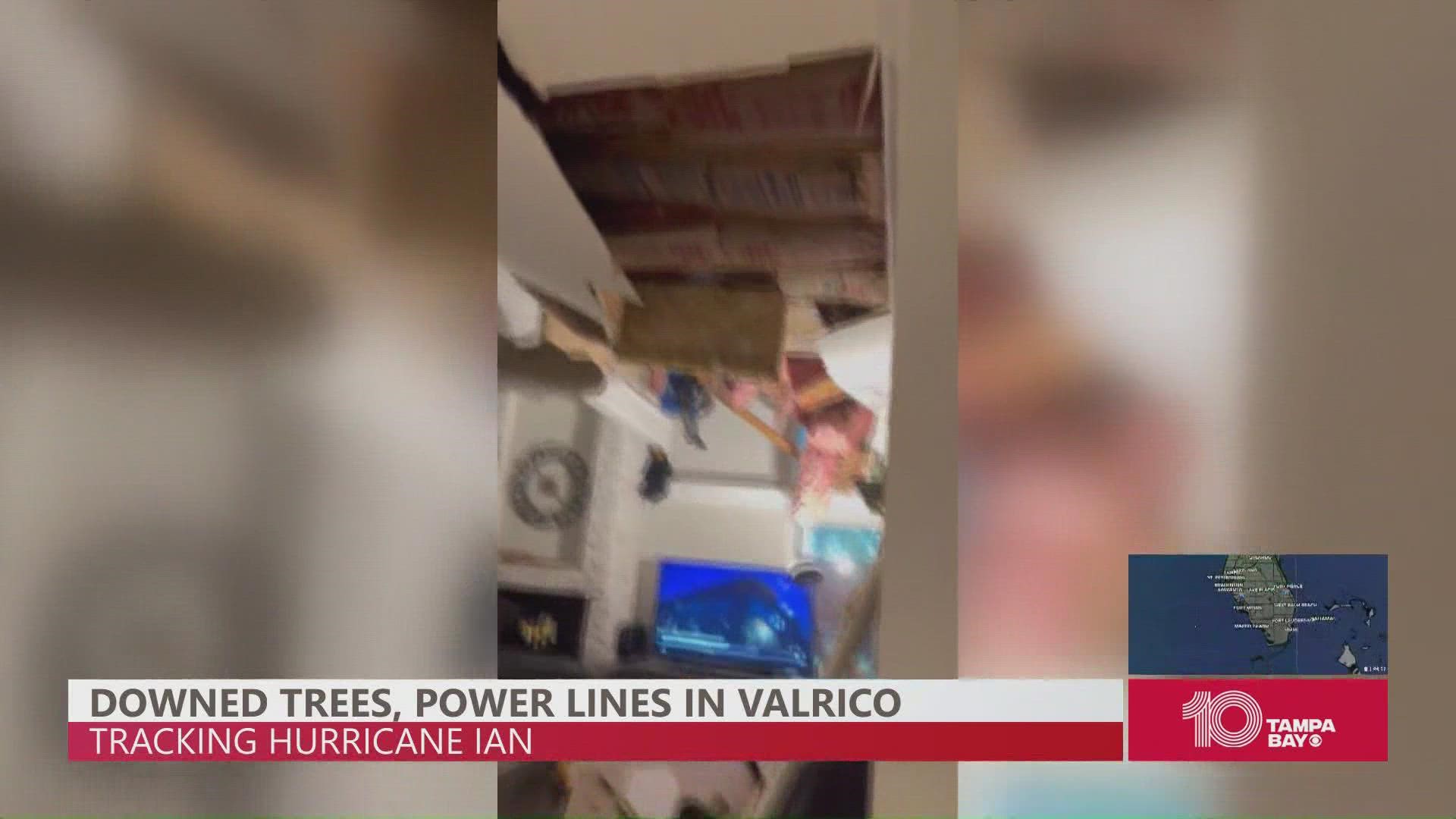 House destroyed Oak tree falls on Valrico home from Hurricane Ian