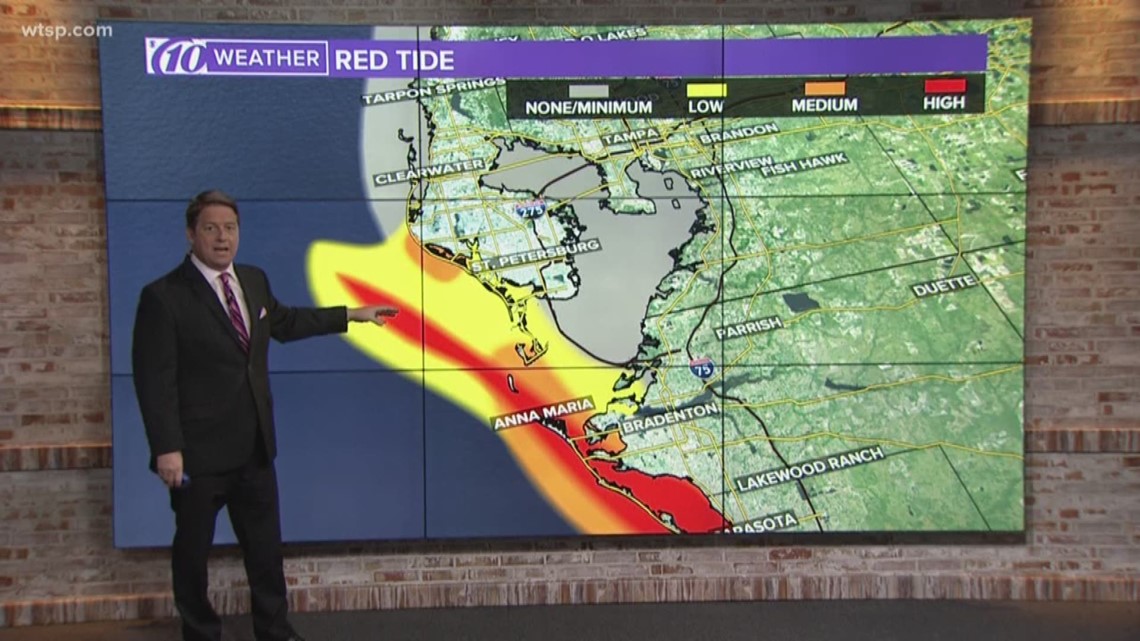 FWC releases updated red tide map showing higher concentrations in