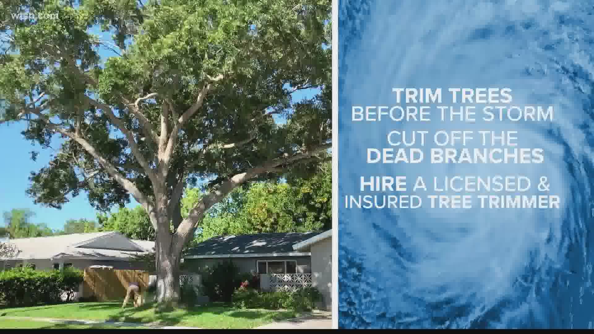 10 Tampa Bay meteorologist Grant Gilmore has some tips on how to get your yard ready for a hurricane.