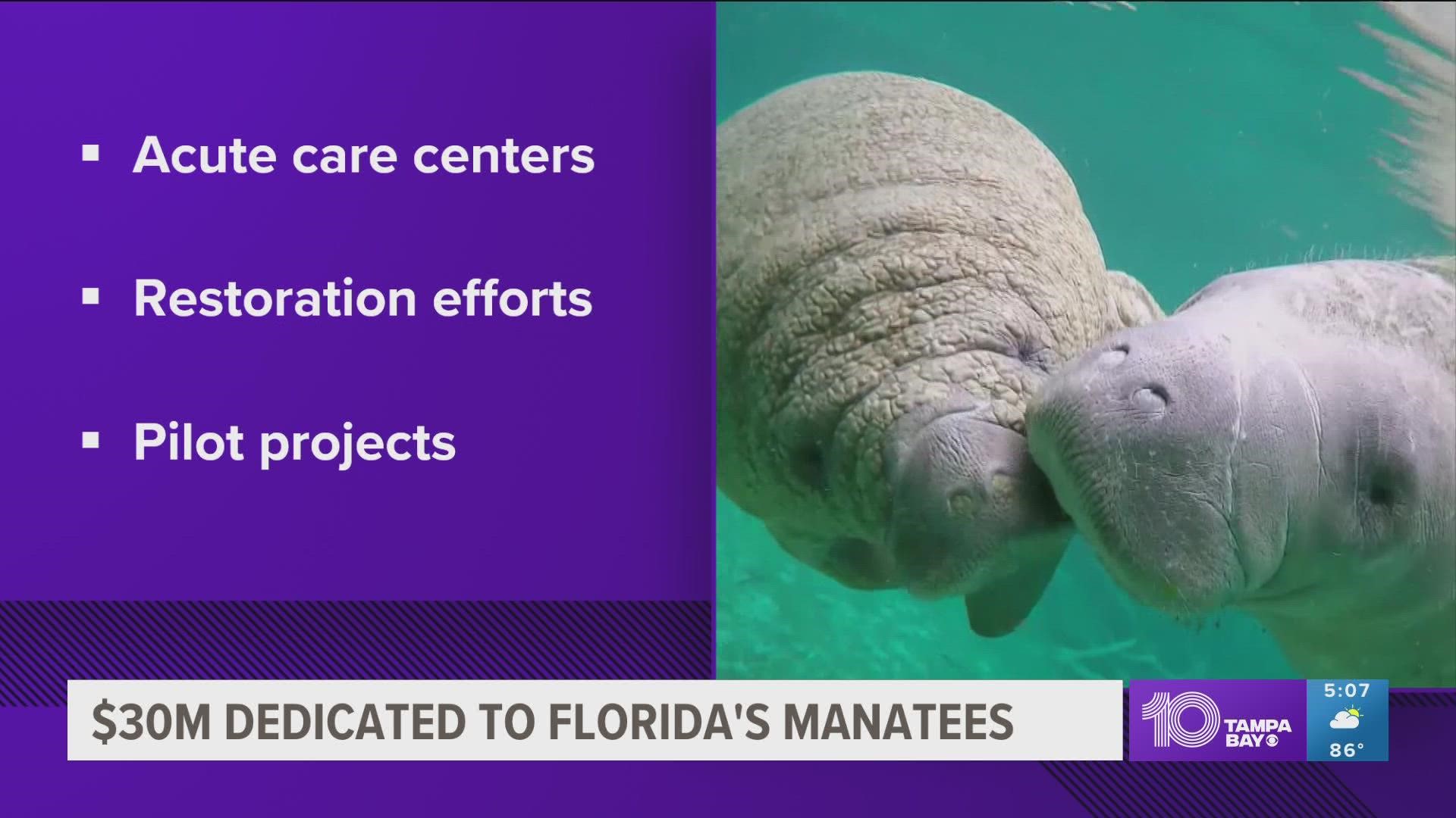 Gov. Ron DeSantis announced at a press conference at the Jacksonville Zoo & Gardens that the state will put money toward saving manatees and cleaning up waterways.