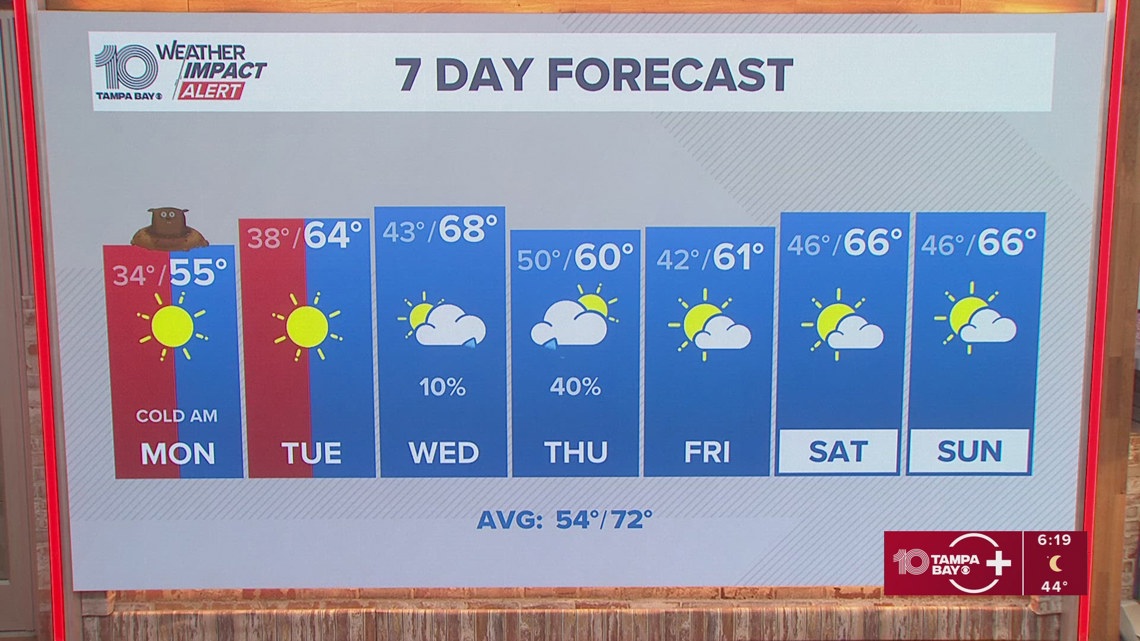 10 Weather: Sunday evening forecast, Tampa Bay area; Feb. 1, 2026 ...