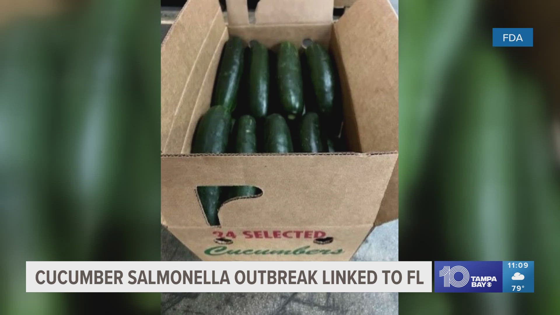 Investigators originally said there were two outbreaks of salmonella possibly tied to cucumbers, but combined them into one because of several similarities.