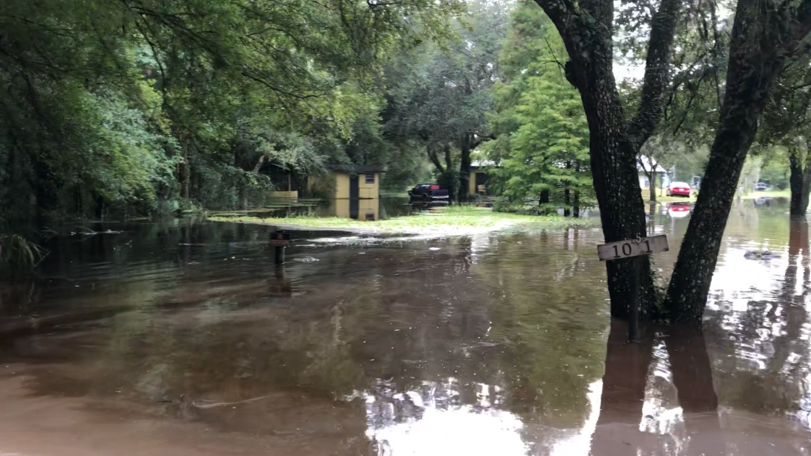 So much rain has fallen in Zephyrhills that fish are swimming in the