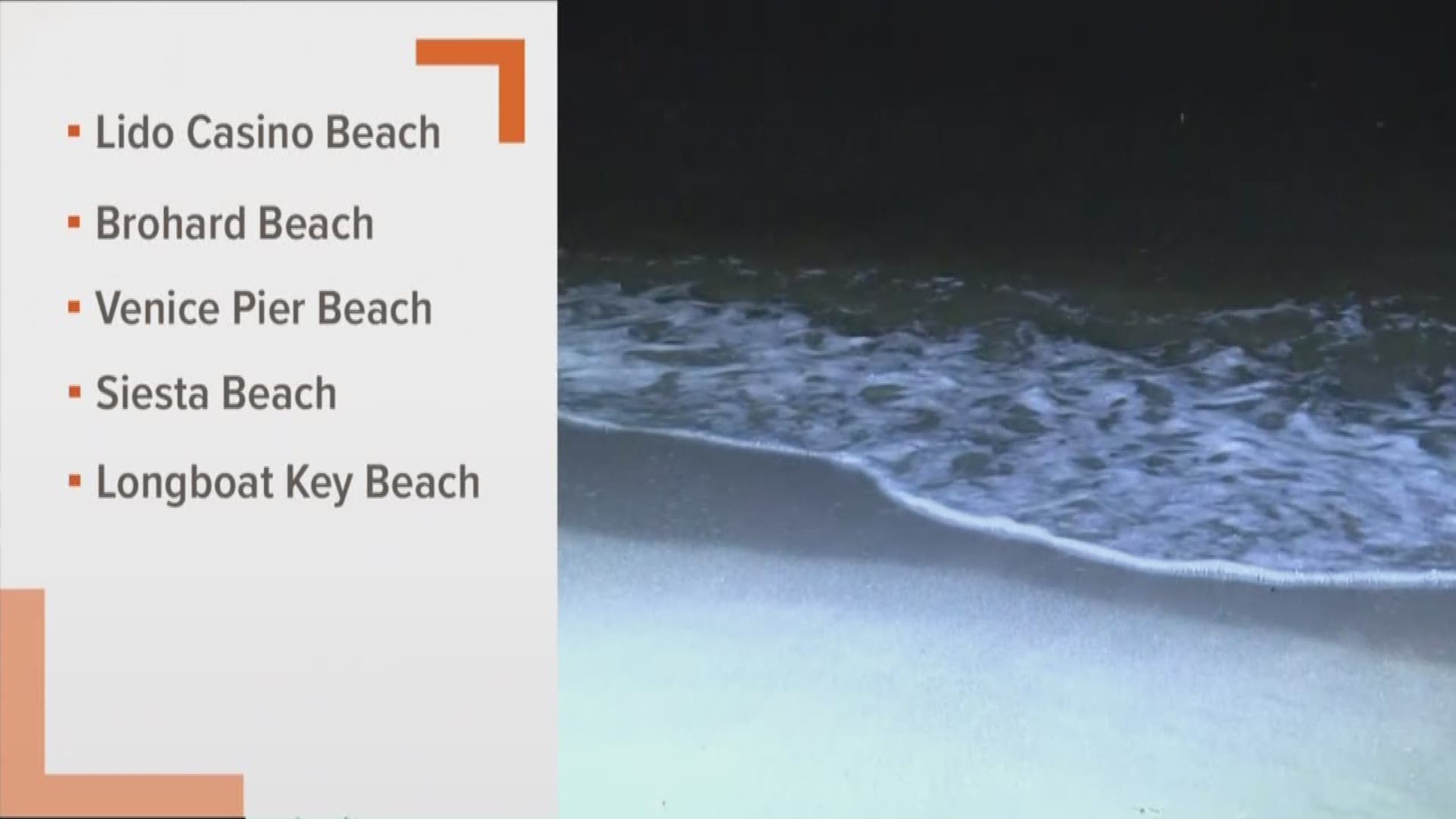 No Swim Advisories Pop Up On Five Sarasota County Beaches Red Tide Not To Blame 1239