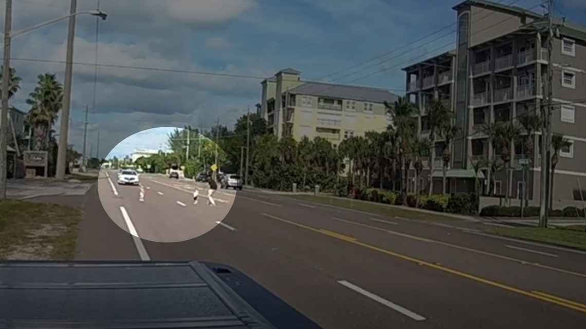VIDEO: Florida man runs into traffic to rescue 2 toddlers wandering on highway