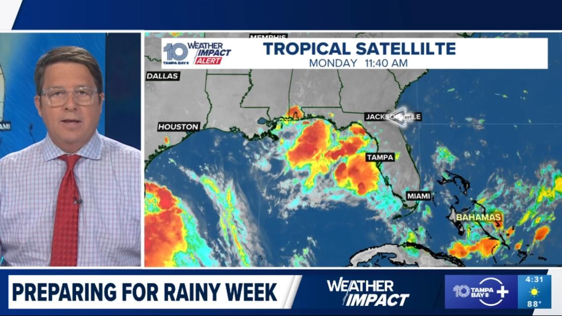 weather july 4 2025 tampa