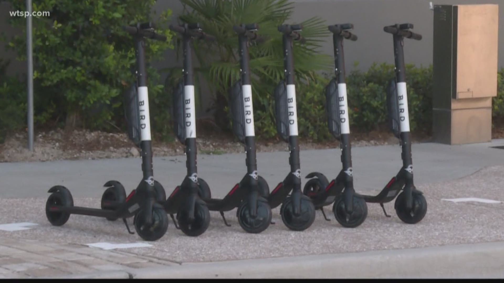 Gov. Ron DeSantis signed a bill Tuesday legalizing electric scooters in Florida.

House Bill 453 takes effect immediately. It allows e-scooter companies to operate anywhere under the regulation of Florida counties, cities and towns.

HB 453 sponsors are from the Tampa Bay area. State Rep. Jackie Toledo, D-Tampa, sponsored the House version. State Sen. Jeff Brandes, R-St. Petersburg, sponsored the Senate version.