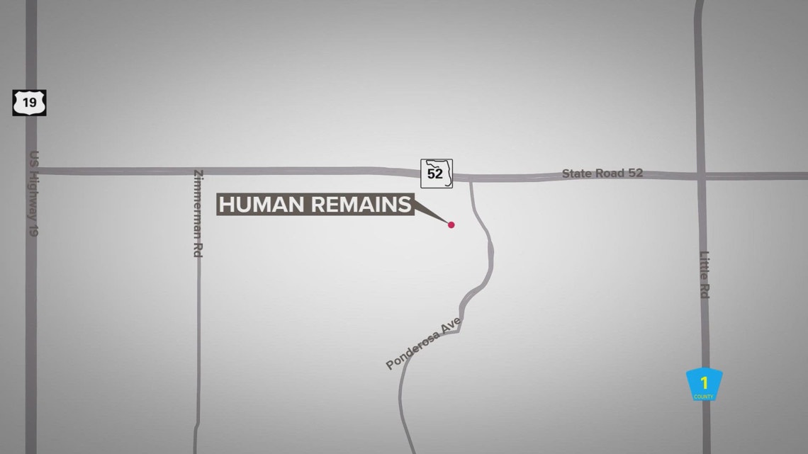 'Apparent' human remains found in Bayonet Point, Pasco County deputies ...