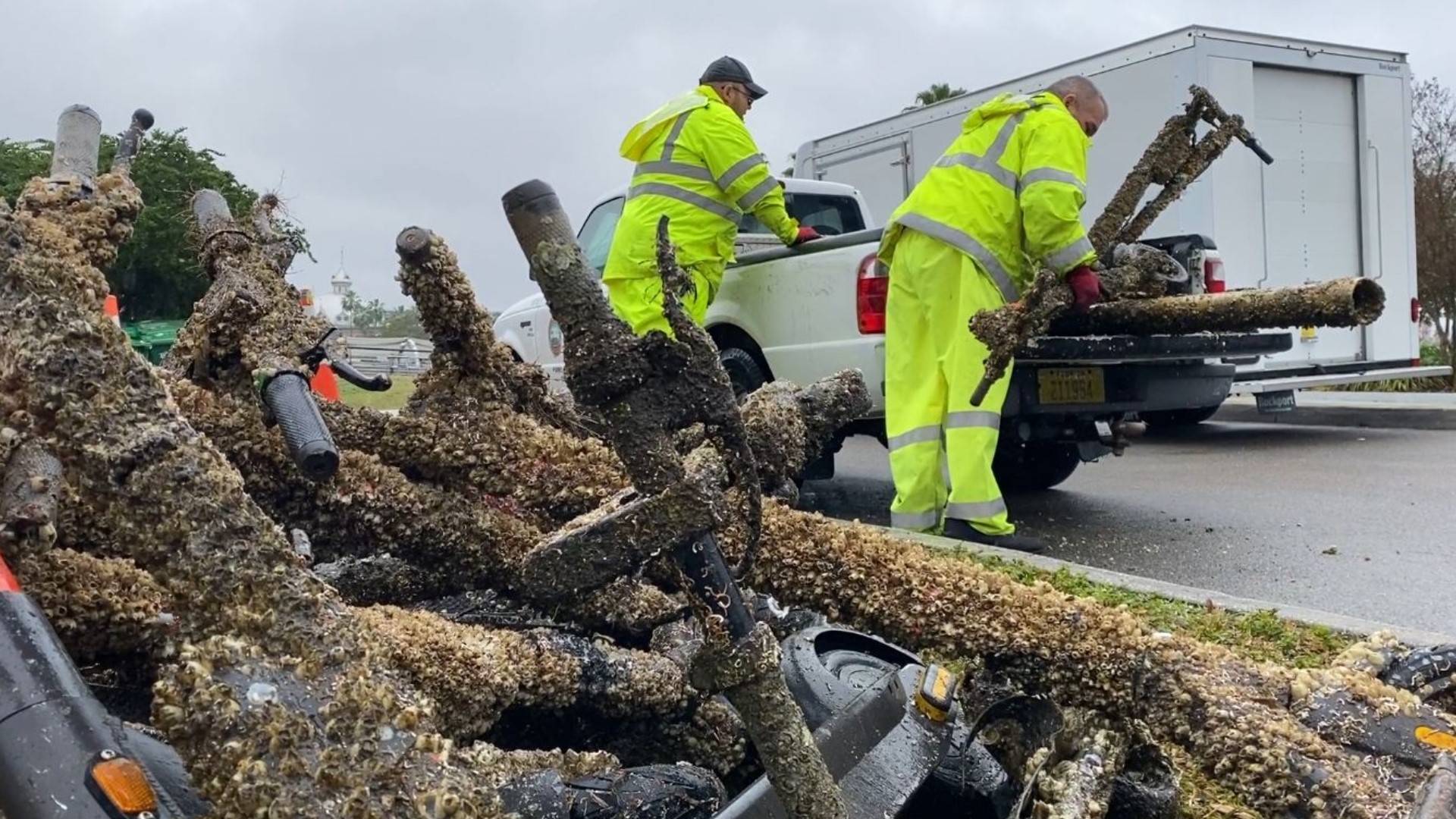 Tampa to install escooter docks to prevent river pollution