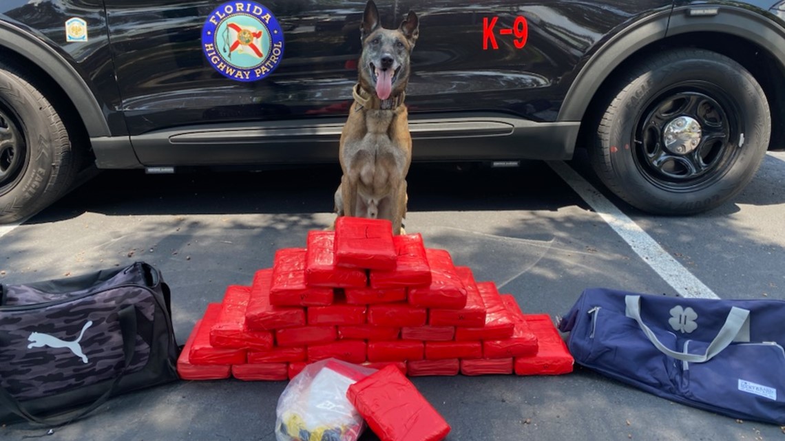 78 pounds of cocaine seized during traffic stop in Tampa | wtsp.com