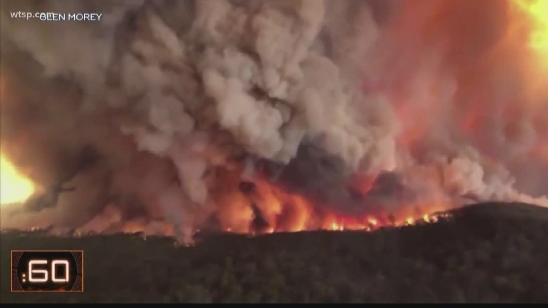 A look at the brushfires that have burned millions of acres in Australia.