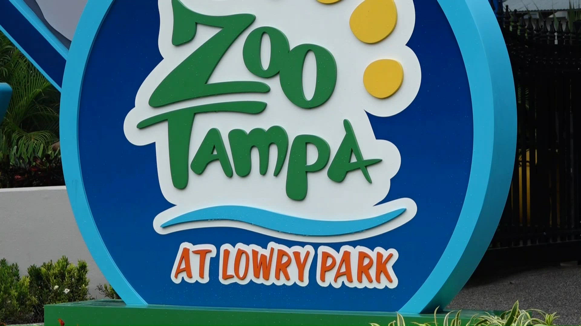 Poposal Examples Hillsborough commissioners advance $75 million ZooTampa funding ...