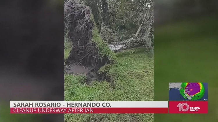 Cleanup underway in Hernando County following Hurricane Ian