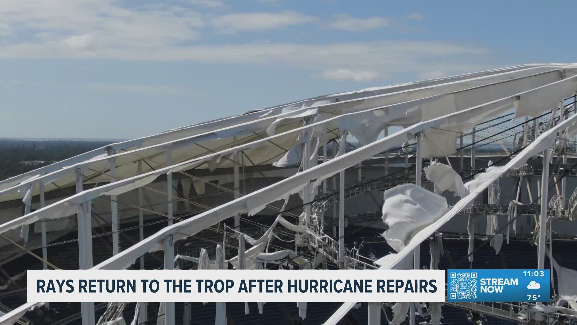 Ray Fan Examples Rays fans, businesses count down to return of Tropicana Field | wtsp.com