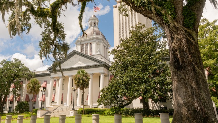 Florida appeals court reinstates DeSantis-backed congressional map