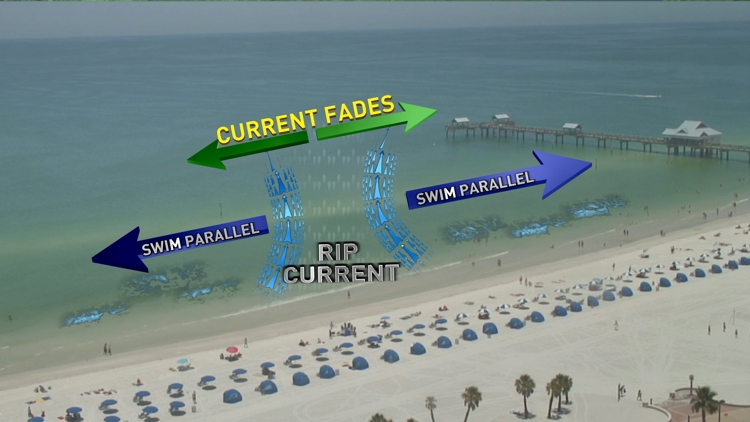 GUIDE: Florida severe weather preparedness | wtsp.com
