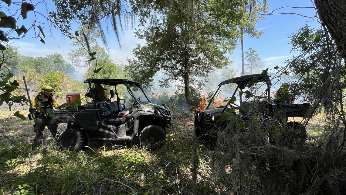 What you need to know for Florida wildfire season - Vimarsana News