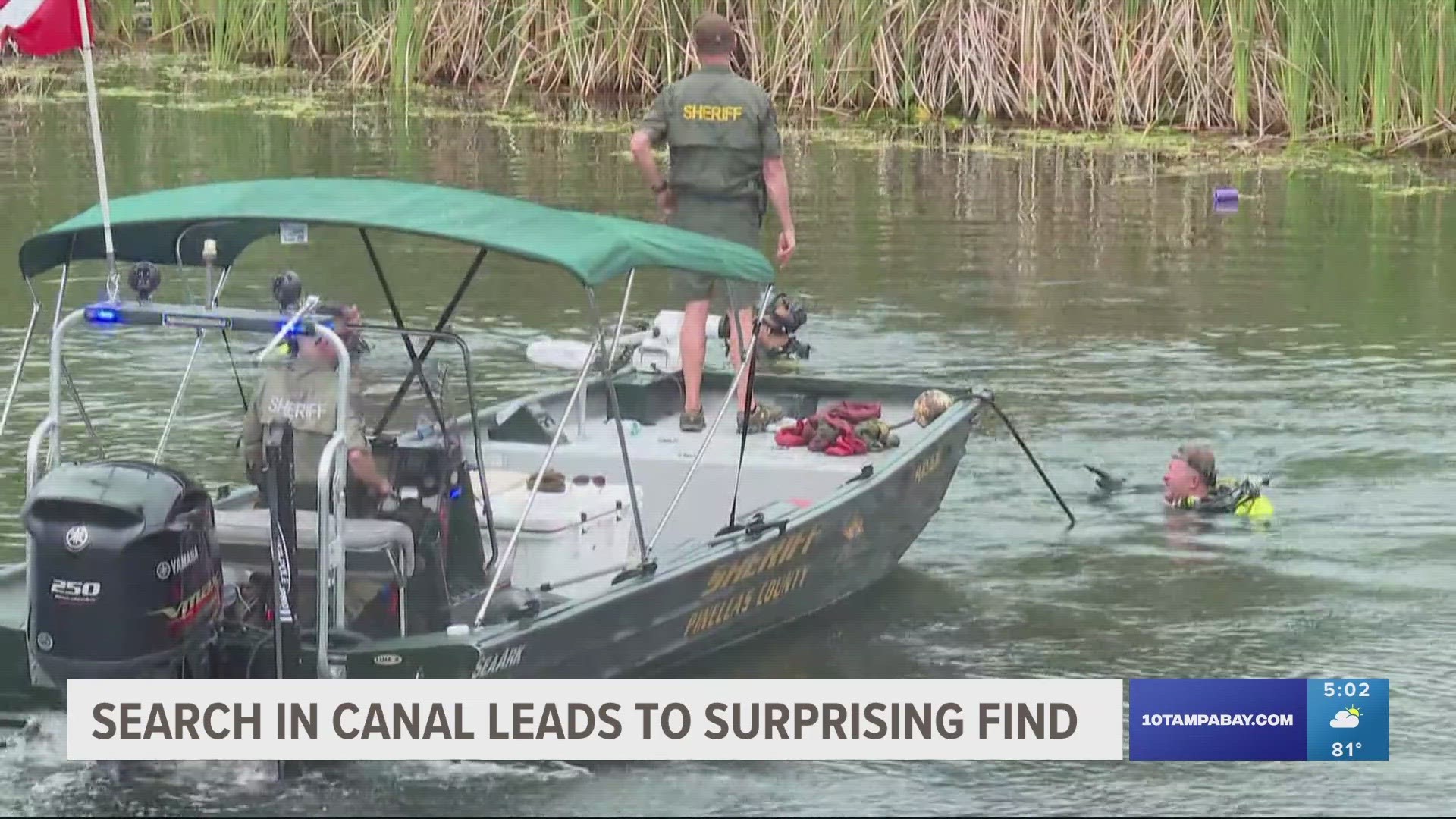 A private dive team was looking for a car that belonged to a Palm Harbor woman who vanished in 1995 when they found a Chevy Vega instead.