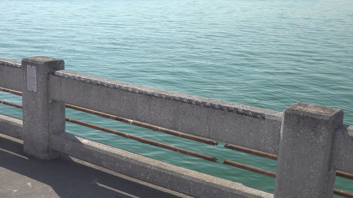 State lawmakers voice doubts as Manatee County cruise port proposal draws scrutiny