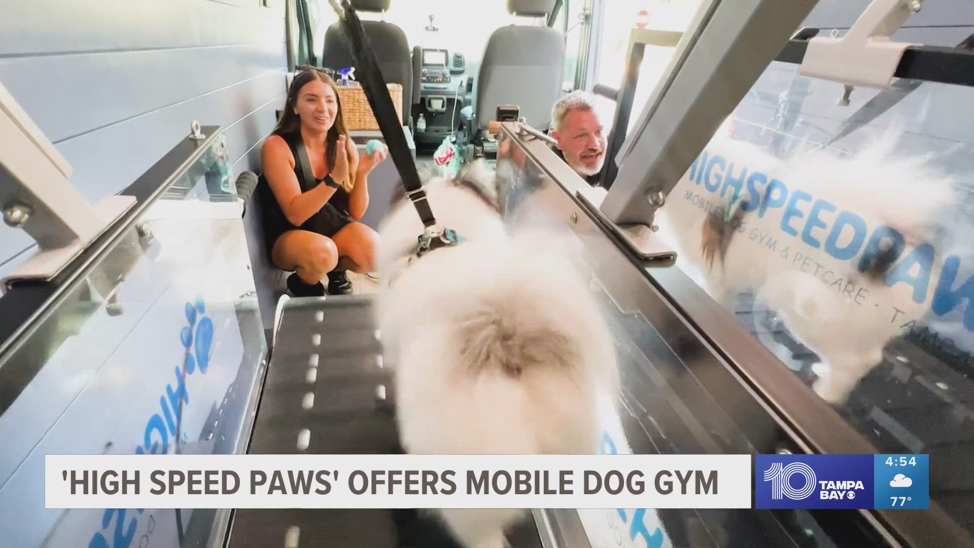 High Speed Paws helps dogs burn off energy on a dog treadmill when it might be too hot to run or walk outside.