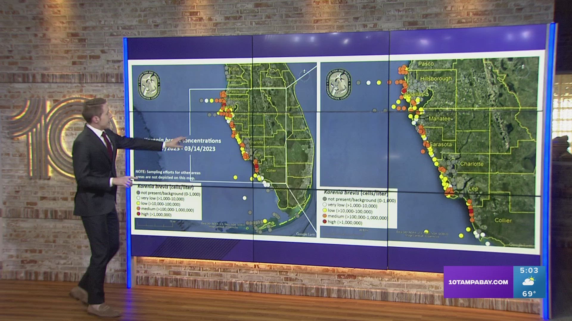 Low to medium concentrations were observed along most of the Tampa Bay area coast.