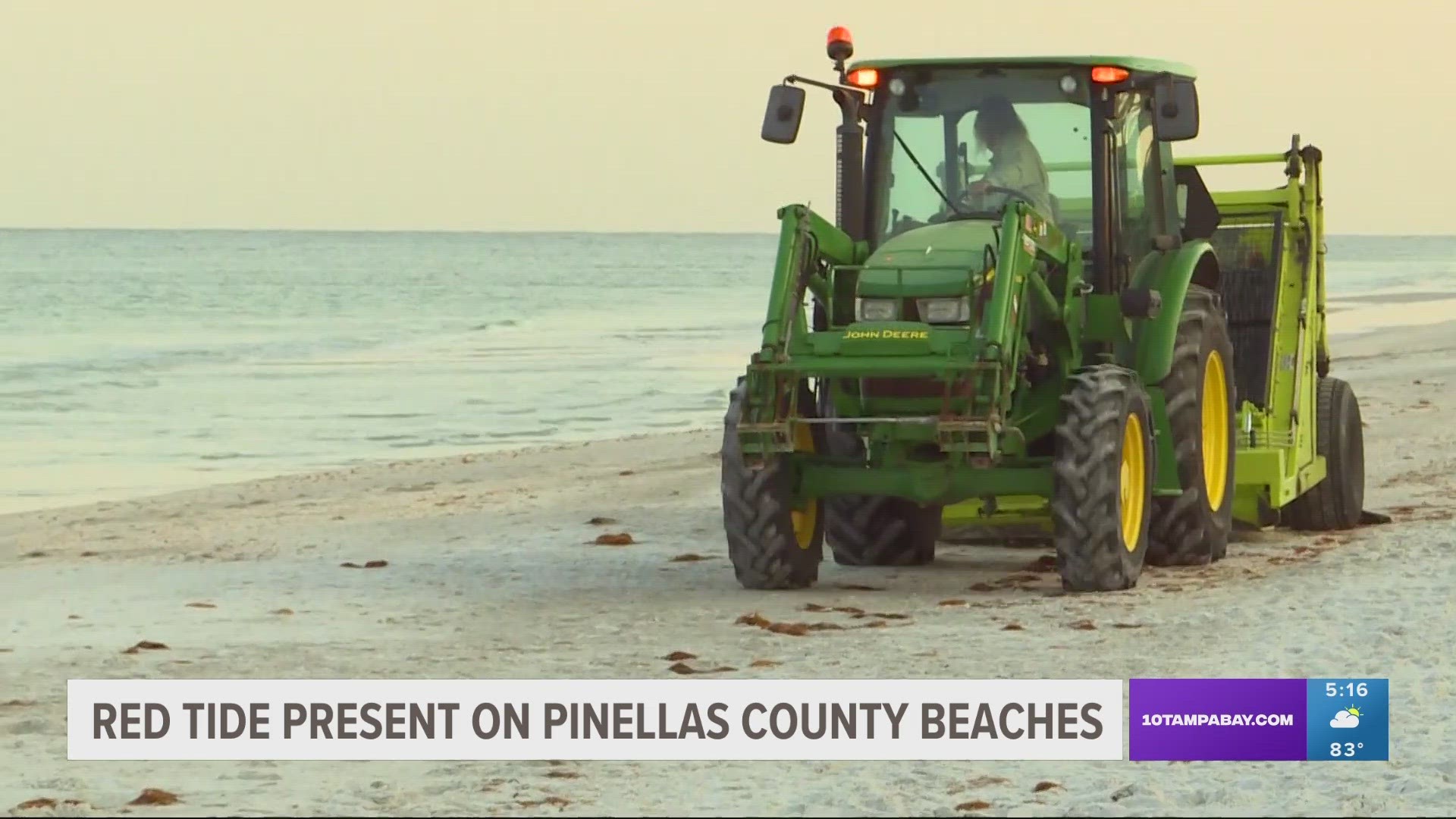 In the last week and a half, the city of Indian Rocks Beach has sent clean-up crews to the beaches every morning for red tide debris removal.