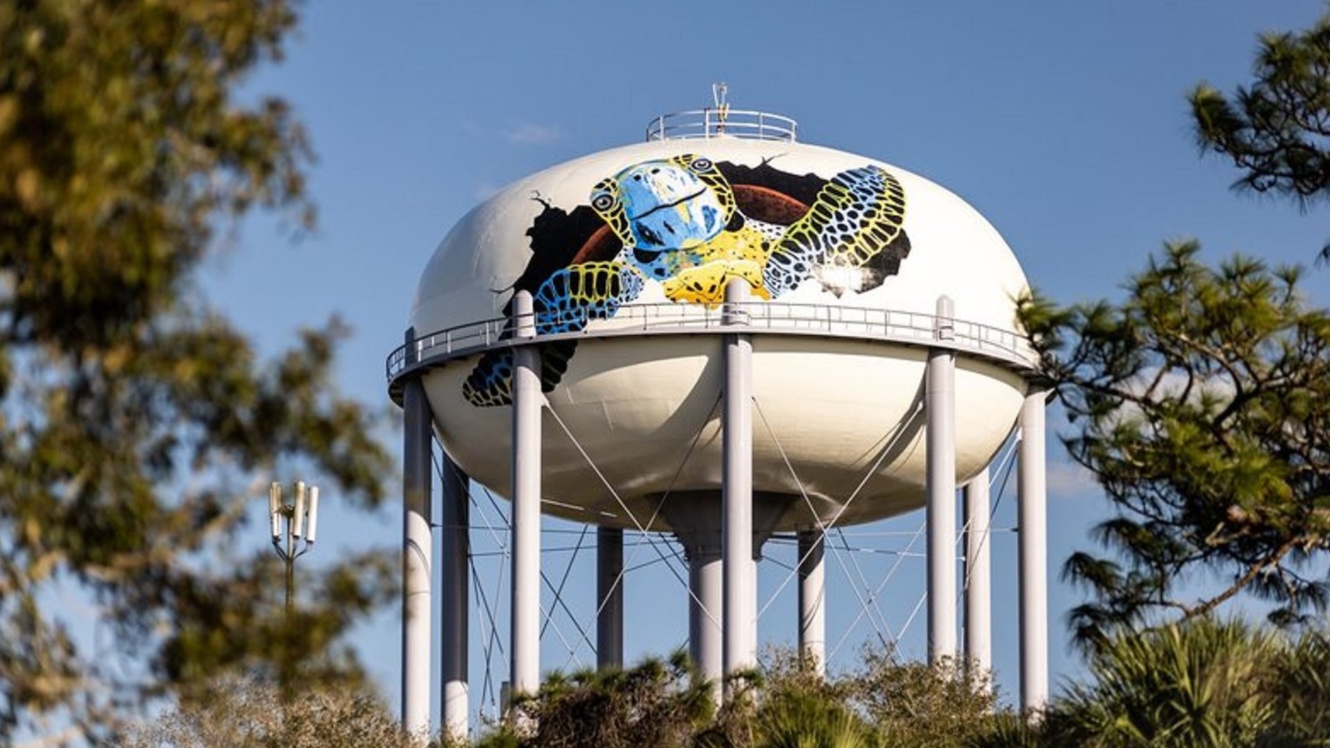 Dunedin water tank named finalist in Tank of the Year Contest