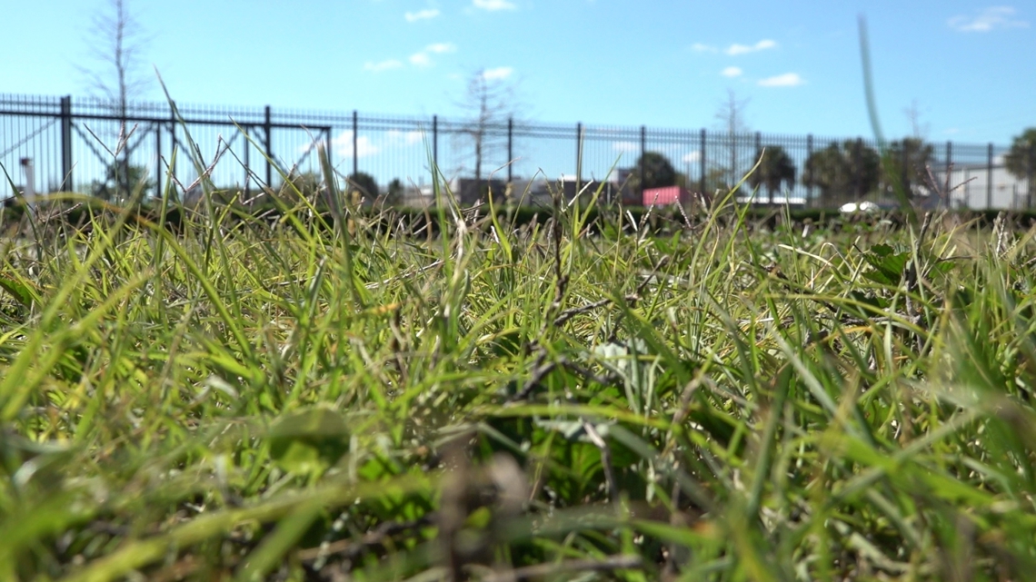 SBA disaster relief loans available for businesses hit by frost