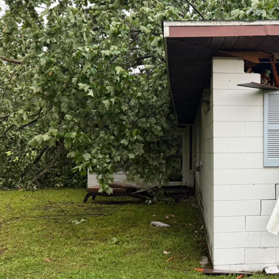 Severe storms cause downed trees, house fire in Pasco, Hernando ...