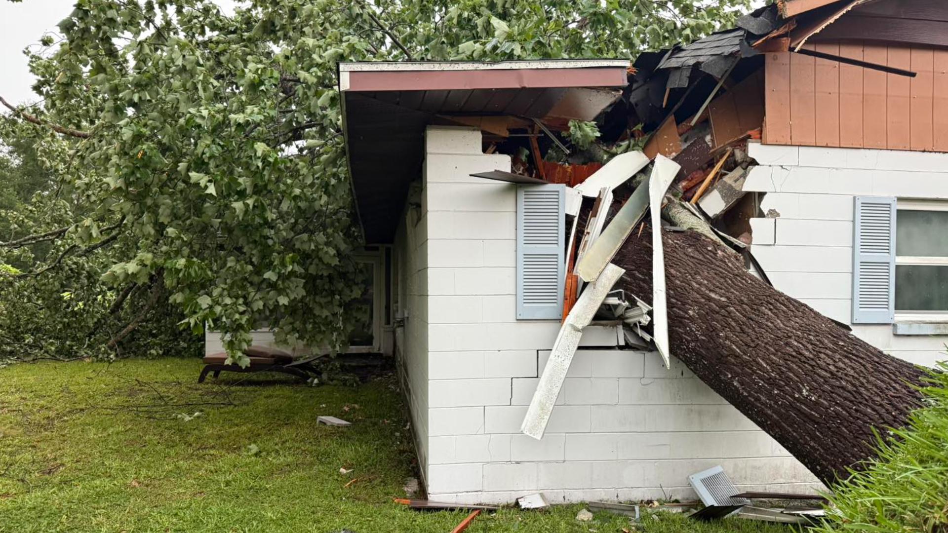 Severe storms cause downed trees, house fire in Pasco, Hernando ...