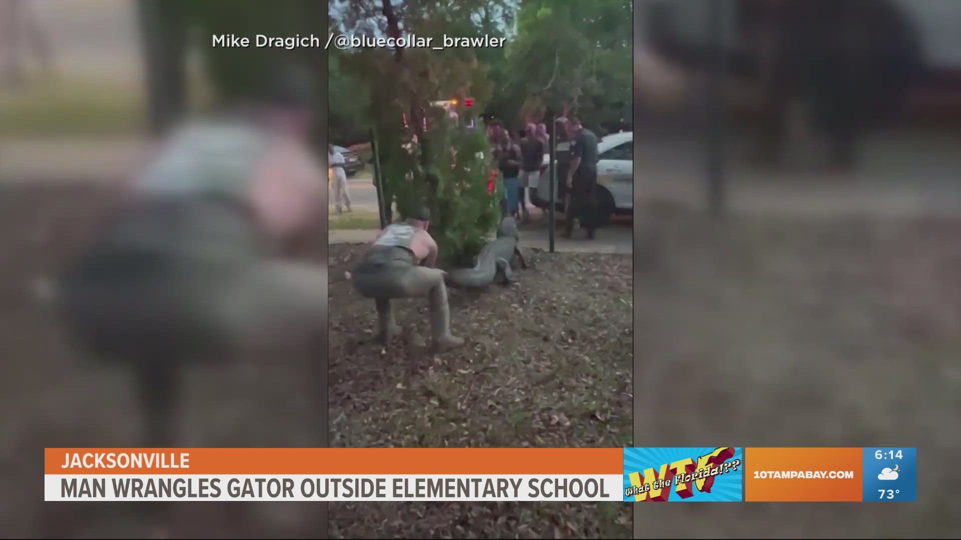 The MMA fighter and military veteran later harvested the gator for meat that he reportedly plans to share with the community.