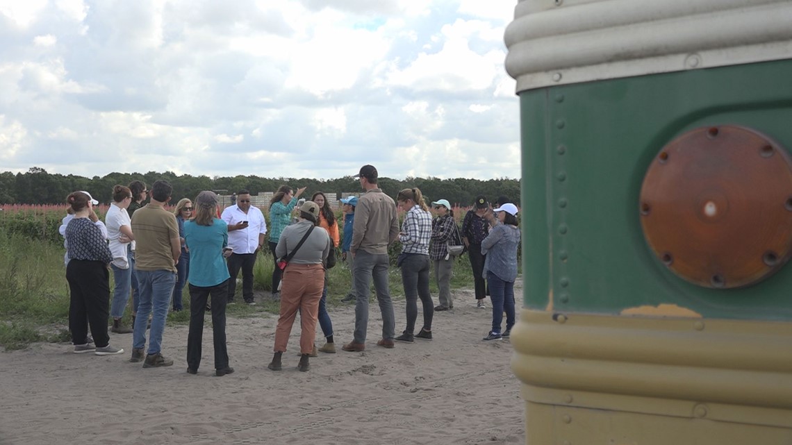 Florida farm to support welfare, human rights for Chile workers - Vimarsana News