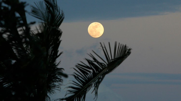 How to watch tonight's supermoon – the last one of the year